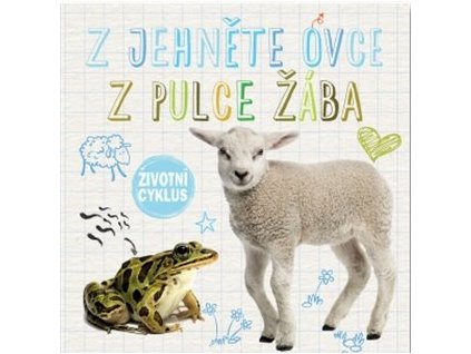 Z jehně ovce, z pulce žába - Životní cyklus