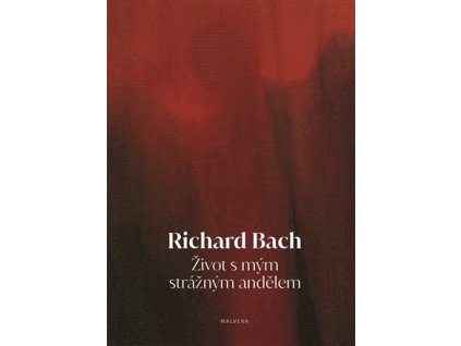 Život s mým strážným andělem, Richard Bach