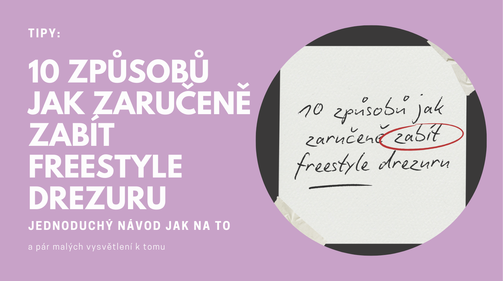 10 způsobů, jak zaručeně zabít freestyle drezuru