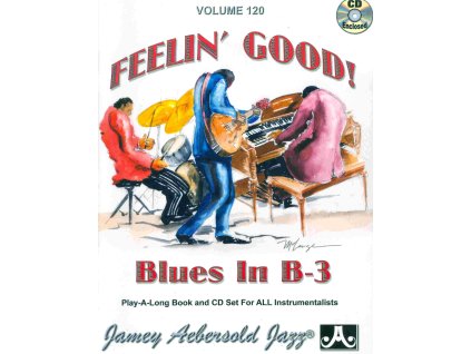 22090 aebersold play along 120 feelin apos good blues in b 3 cd