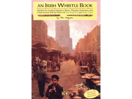 23905 an irish whistle book skola hry na irskou fletnu pro uplne zacatecniky