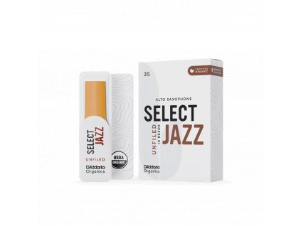 Alt sax 1