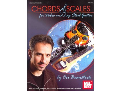 28666 chords scales for dobro and lap steel guitar