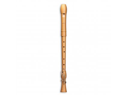 Canta Tenor 5110ca16d866e (1)