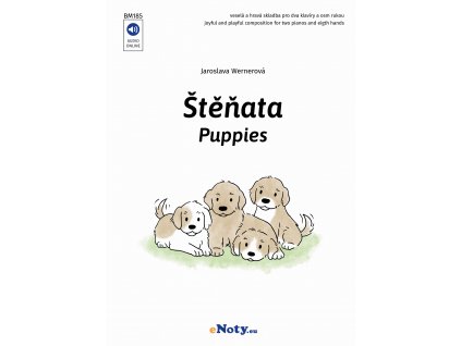 62899 stenata hrava skladba pro 2 klaviry 8 rukou