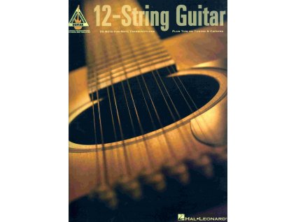 23659 12 string guitar kytara tabulatura