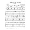 12697 2 beeftink sunnyland blues pricna fletna a klavir