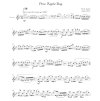 29089 1 classic rags for flute piano cd pricna fletna