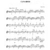 28012 1 classical guitar repertoire 2 intermediate to difficult