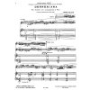 5095 1 denneriana by andre bloch klarinet a klavir