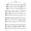 13045 3 easy recorder trios 3 more classics 15 skladeb ve snadne uprave pro tri zobcove fletny
