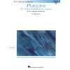 24835 o mio babbino caro by g puccini zpev klavir