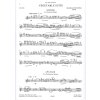 11413 2 powning vegetable suite zeleninova svita pricna fletna a klavir