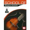 29665 school of bluegrass mandolin audio online mandolina tabulatura