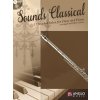 7888 sounds classical 17 graded solos cd pricna fletna a klavir