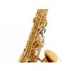 Buffet Crampon alt saxofón SENZO, mosadzné telo, zlatolak