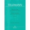 27265 telemann concerto in g major for viola strings and basso continuo viola a klavir