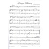 17089 2 the baroque recorder zobcova fletna a klavir