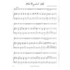 17089 3 the baroque recorder zobcova fletna a klavir
