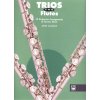 18751 trios for flute 22 skladeb pro tri pricne fletny