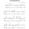 24844 1 you raise me up klavir zpev kytara