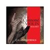 Larsen Strings Il Cannone Soloist struna na husle (Struna G - striebro)