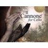 Larsen Strings Il Cannone Direct & Focused sada strún na violončelo, 6 strún