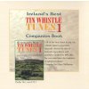 11800 1 110 tin whistle tunes volume 1 2x cd jen cd bez zpevniku