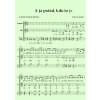 913 1 a ja porad kdo to je satb a cappella