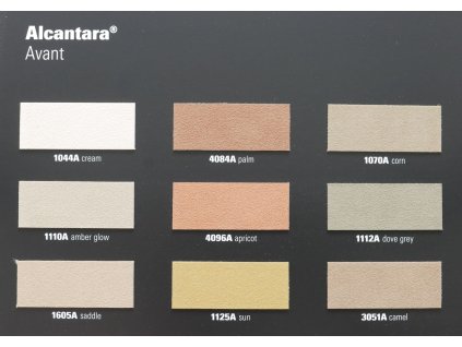 Alcantara Avant 04