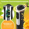 Clatronic SM 3825 tyčový mixér 800W