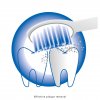 ProfiCare - EZS 3000 - Electric toothbrush