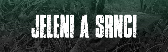 Jeleni a srnci - lovecké vábničky