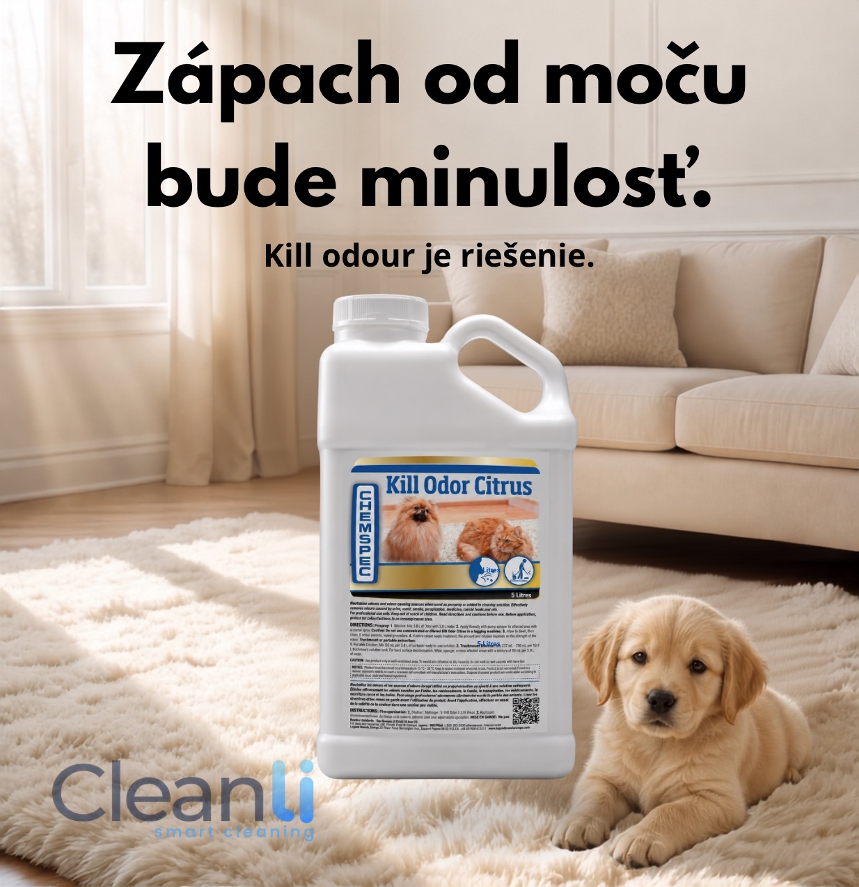 Ako vyčistiť sedačku od psieho a mačacieho moču?