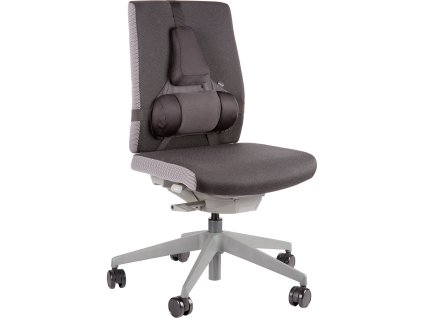 Zádová opěrka Professional Series™