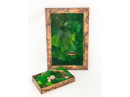 BA0EB5E5 D49B 40F3 8A2A 0CCACF9CC358