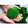 Kopečkový mech (ball moss), 1 kg