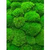 Kopečkový mech (ball moss), 1 kg