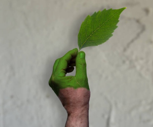 Hrozba jménem greenwashing aneb jak my v CleanWear nenatíráme na zeleno