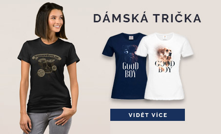 Dámské motivy