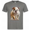 Bulldog real grey