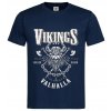 Vikings navy