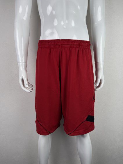 Air Jordan shorts | M