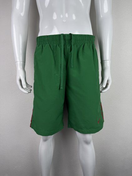 Nike shorts | L