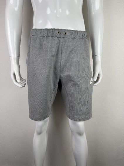 Nike shorts | L