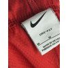 Nike Dri-Fit shorts | M