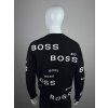 Hugo Boss sweater | L