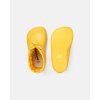 Cover Sunflower Yellow 2