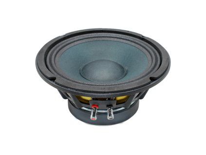 CW-200 woofer 20cm