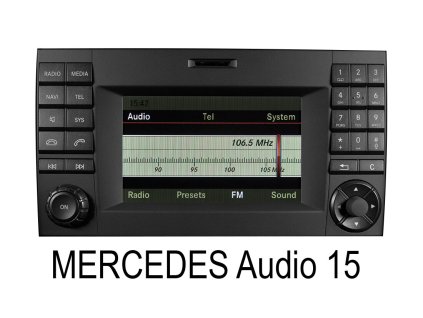 Mercedes Sprinter Audio15